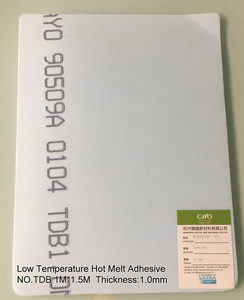 Low Temperature Hot Melt Adhesive CY-TDB10