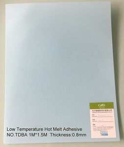 Low Temperature Hot Melt Adhesive CY-TDBA08