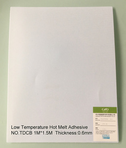Low Temperature Hot Melt Adhesive CY-TDCB06