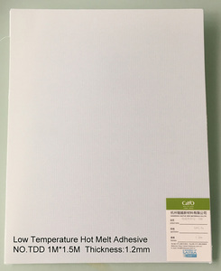 Low Temperature Hot Melt Adhesive CY-TDD12