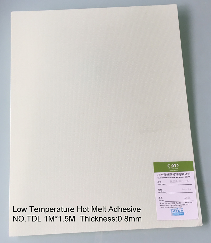 Low Temperature Hot Melt Adheive CY-TDL08